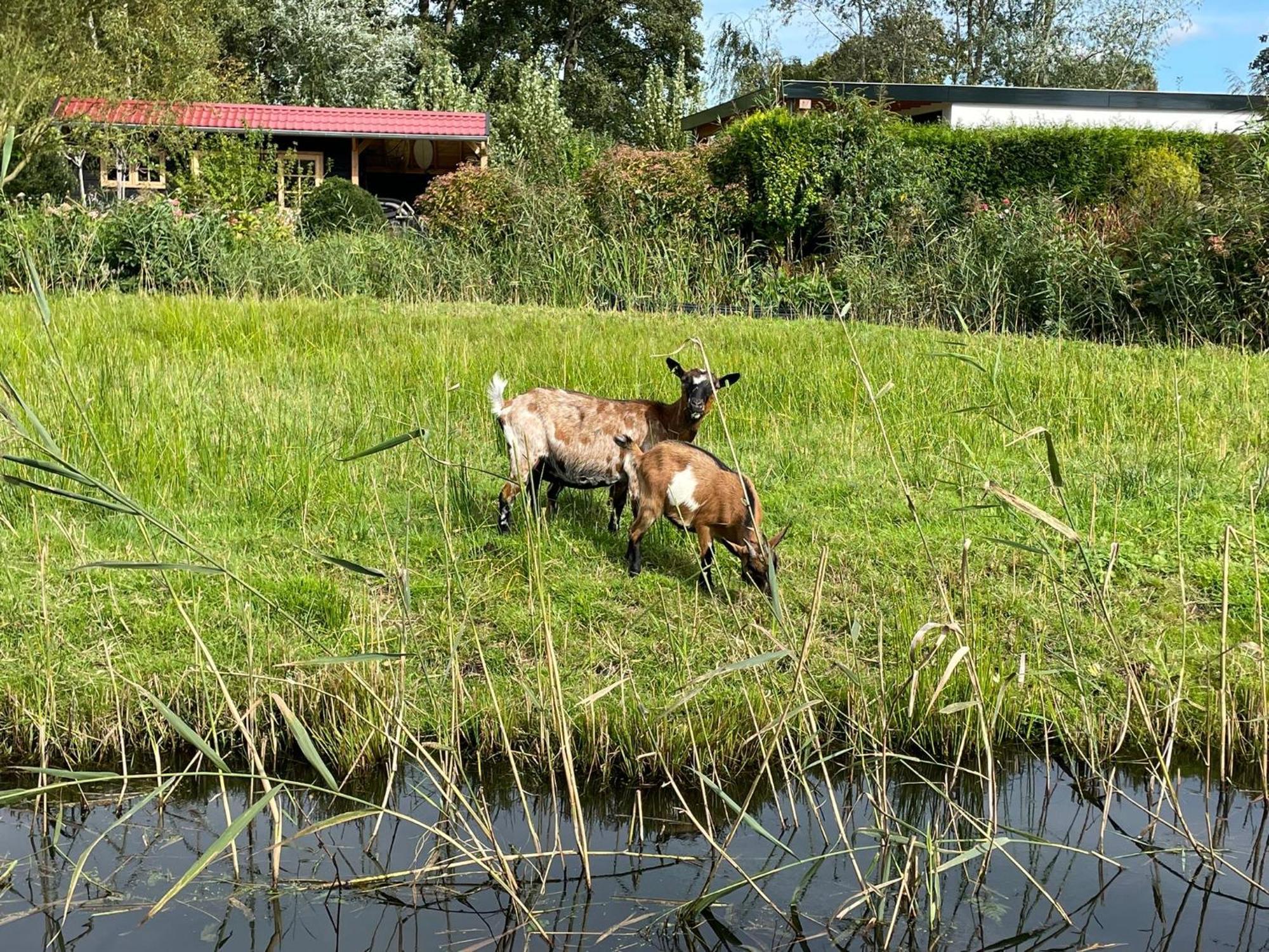 Huisje Op De Dijk Kortenhoef Buitenkant foto